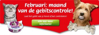 Februari 2013: De Maand van de Gebitscontrole